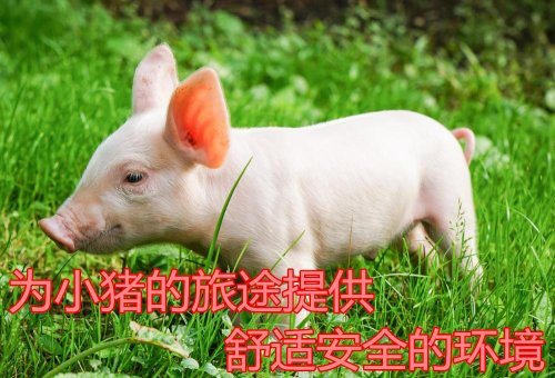 畜禽豬仔運(yùn)輸車(chē)價(jià)格廠家圖片